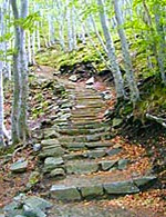 chemin d'acc�s vers la cascade