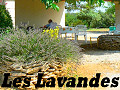 Camping les Lavandes