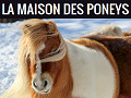 La Maison des Poneys