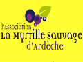 La Myrtille sauvage d'Ardèche