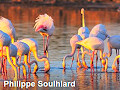 PhotoPhil07