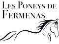 Les poneys de Fermenas