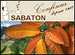 Sabaton