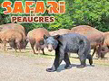 Safari de Peaugres