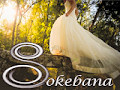 Sokebana - Photographe