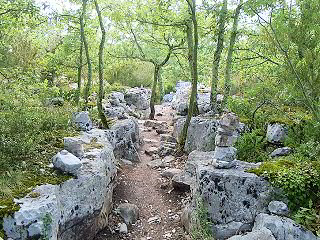 Le Bois de Païolive