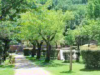 Camping Les Foulons ***