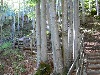 Cascade du Ray-Pic