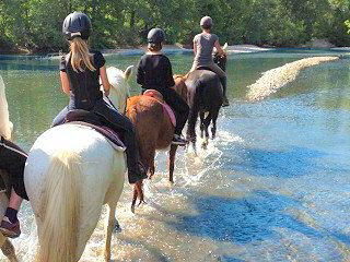 Centre équestre l'Hippocampe