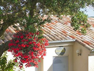 Domaine des Loriots