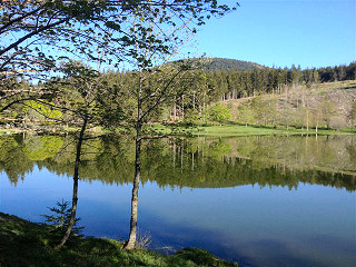 Domaine du lac Ferrand