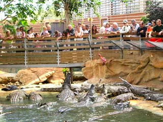 La Ferme aux Crocodiles