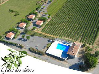 Gîtes des Oliviers