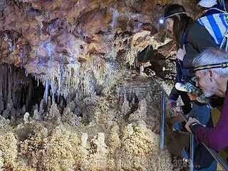 Aven Grotte Forestière