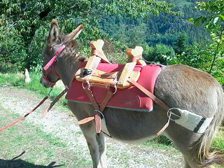 Les Marraignes