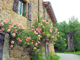 Chambres d'hôtes de l'Adreyt