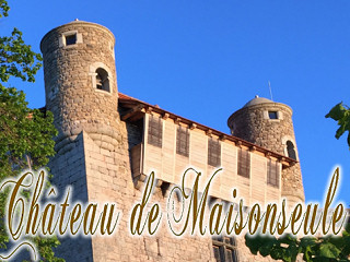 Château de Maisonseule