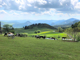 La Ferme de Médille