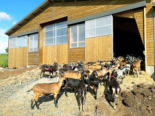 Ferme de Montmoulard