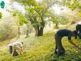 Parc Naturel Régional des Monts d'Ardèche