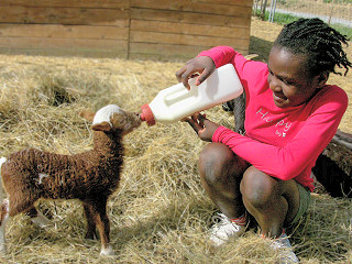 Parc Animalier de Lussas