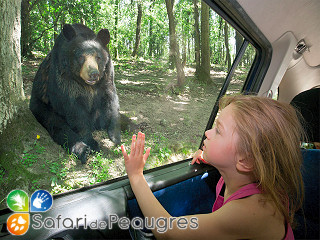 Safari de Peaugres