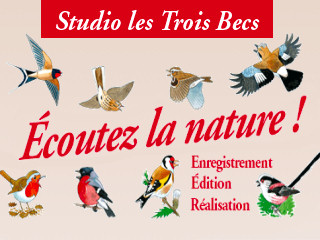 Studio les Trois Becs